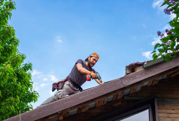 Best Roof Ventilation Installation  in Swartz Creek, MI